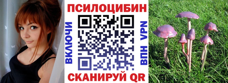 Псилоцибиновые грибы GOLDEN TEACHER  закладки  Хилок 